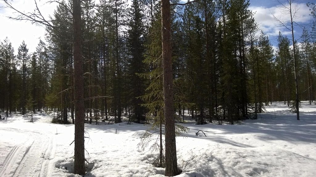 Ostolupia myönnettäessä sillä on merkitystä, mihin tarkoitukseen kiinteistöä ostetaan ja kuka sitä ostaa. Kuvituskuva.