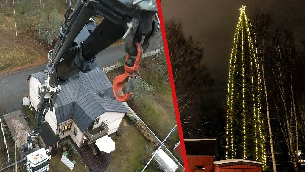 Kuusi on meidän koko kaupunginosan kuusi ja paikallinen nähtävyys, Noponen kehuu.