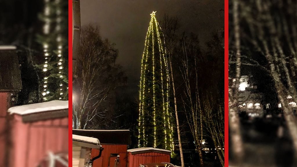 Joulukuusi-Mikkeli-2