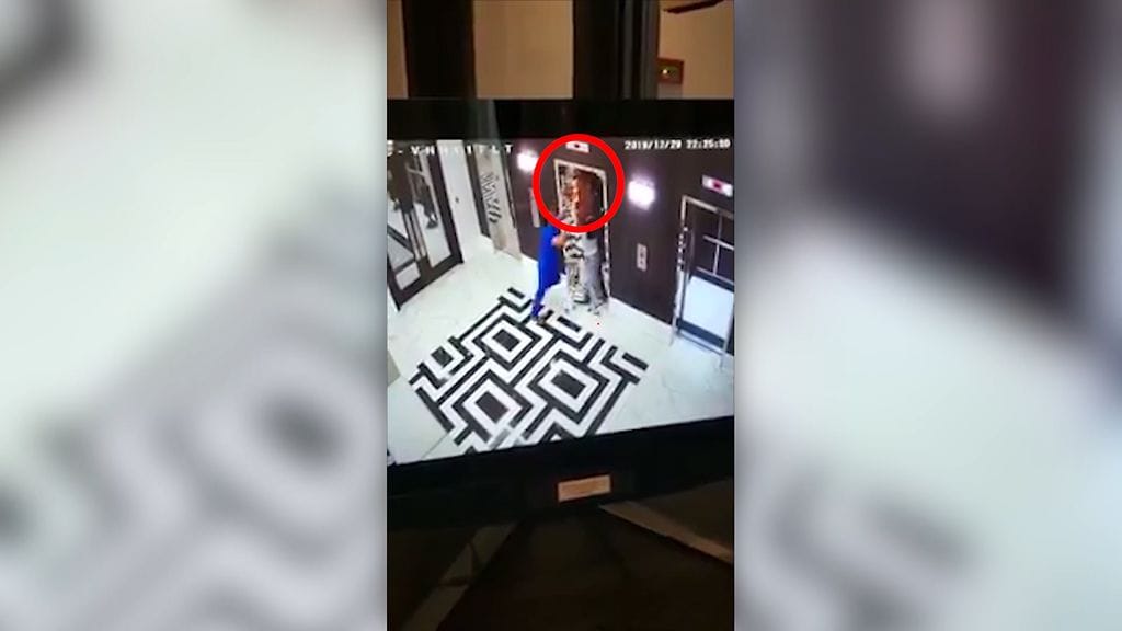 Dramaattinen video: Koira jää hississä kiinni talutushihnasta