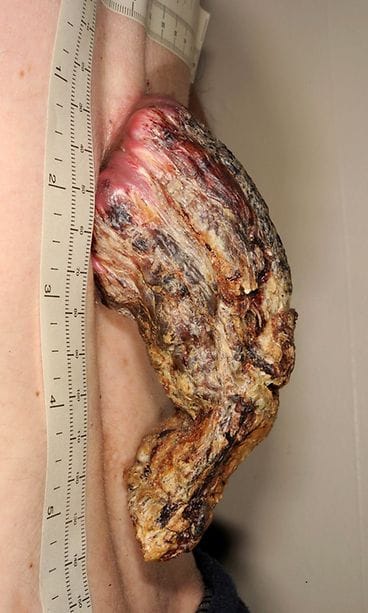 bmjcr-2019-December-12-12--F2.large