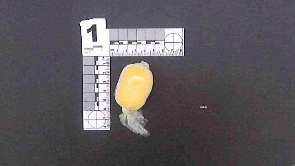 LK: united brotherhood huumeita vankilaan