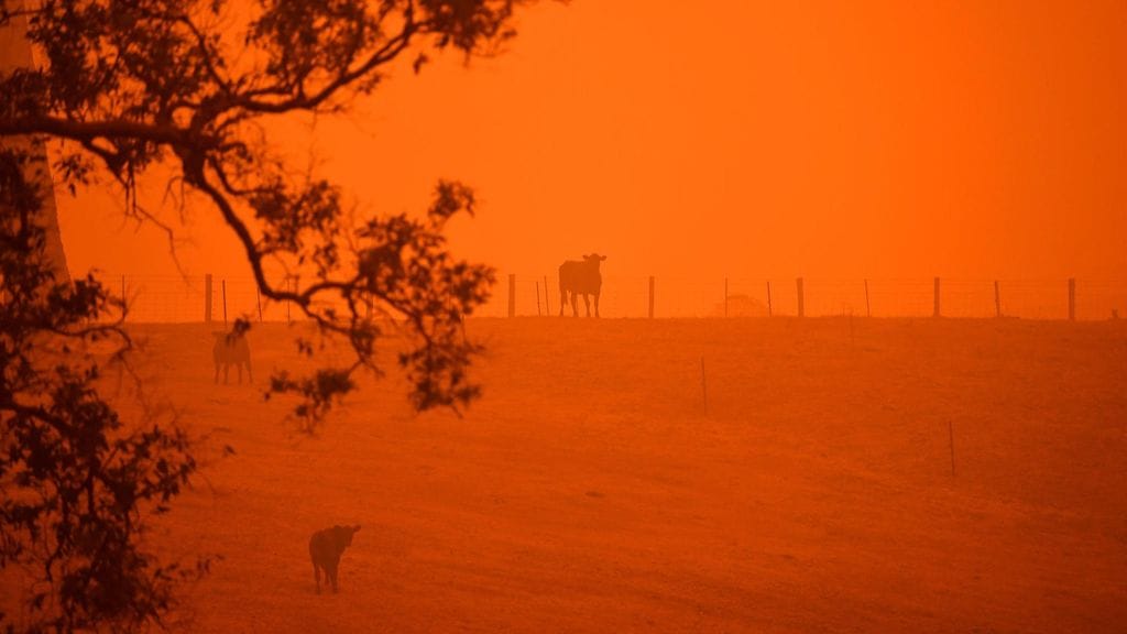 Australia on viime aikoina kärsinyt valtavista maastopaloista.