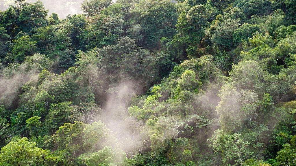 Toistaiseksi YK:n pyrkimykset suojella ekosysteemejä ovat epäonnistuneet.