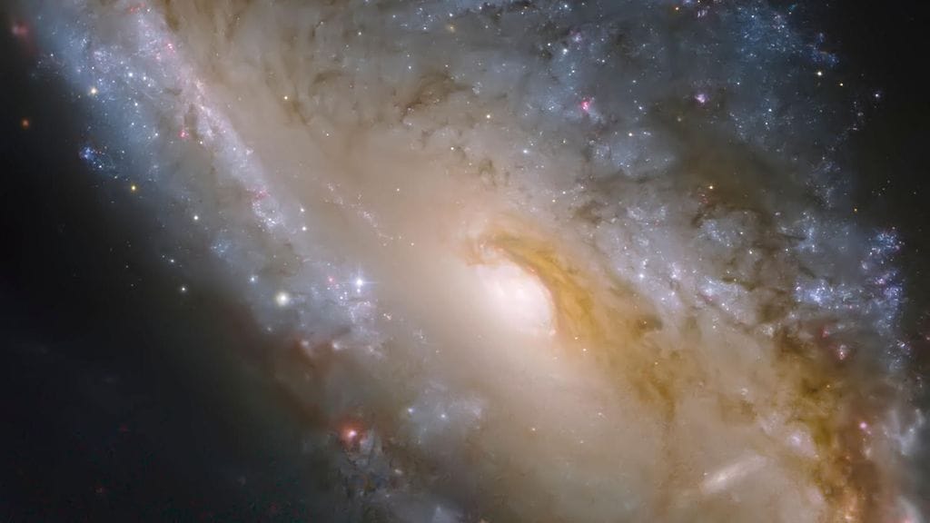 Eikö siellä ole ketään? Maailmankaikkeudessa on käsittämätön määrä galakseja ja tähtiä, mutta Maan ulkopuolisen älykkään elämän kannalta vaikuttaa vallitsevan syvä hiljaisuus.