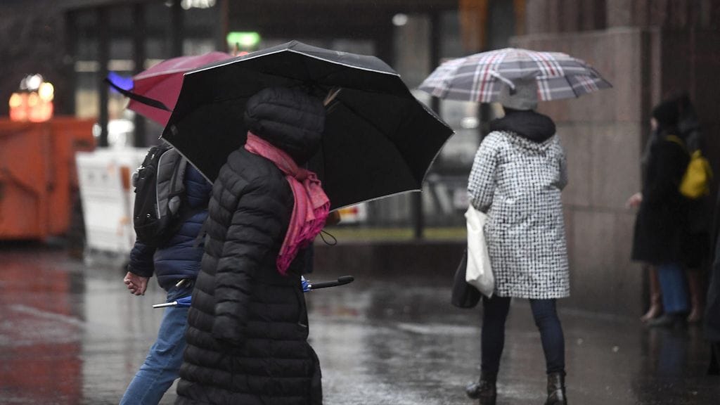 Tähän tammikuun keliin saadaan Suomessa tottua. Vaikutus Suomen eläimiin on suuri.