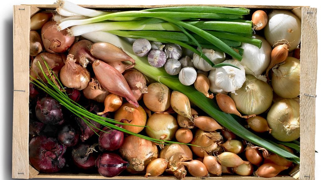 Sipulista on moneksi.