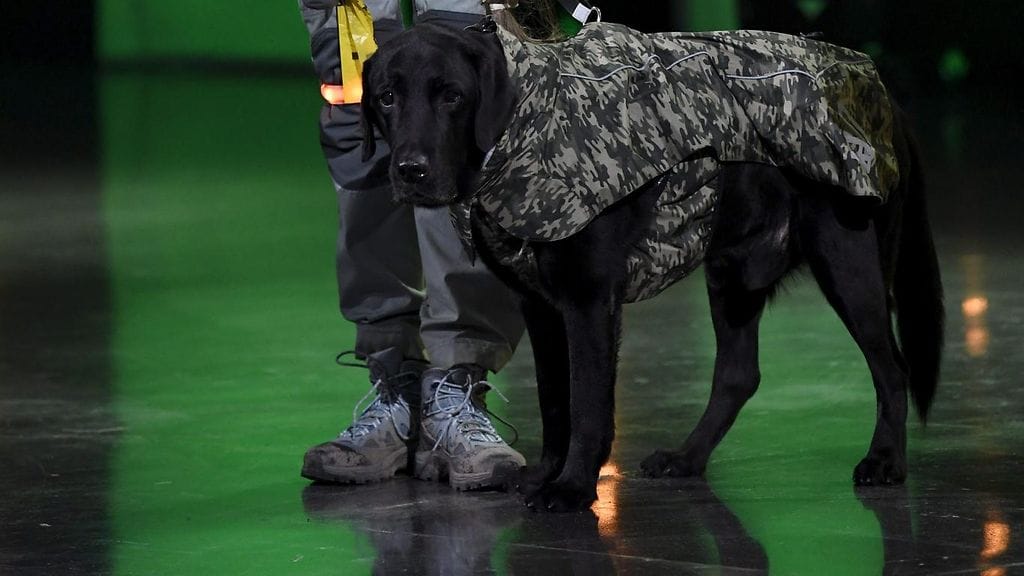 Putousta tähdittävä Linnea Leino esitteli ensimmäisessä jaksossa sketsihahmonsa lisäksi koko kansalle myös Esko-koiran.