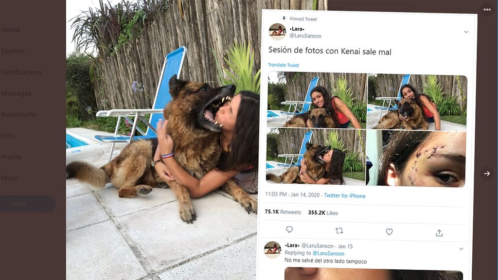 Koira puraisi 17-vuotiasta Lara Sansonia kesken valokuvaussession. Kuvakaappaus Twitteristä.