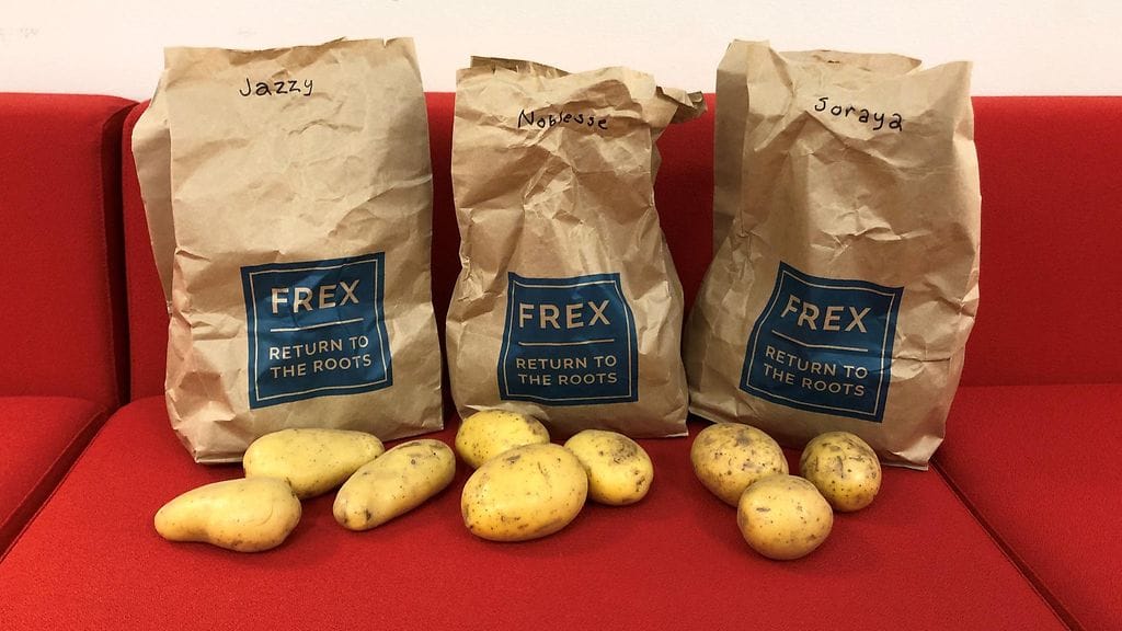 frex peruna 3