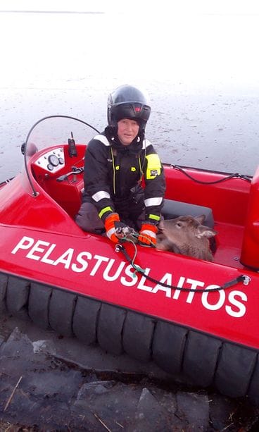 Vaasan pelastuslaitos pelasti valkohäntäpeuran liukkaalta jäältä ja kotkan kynsistä.