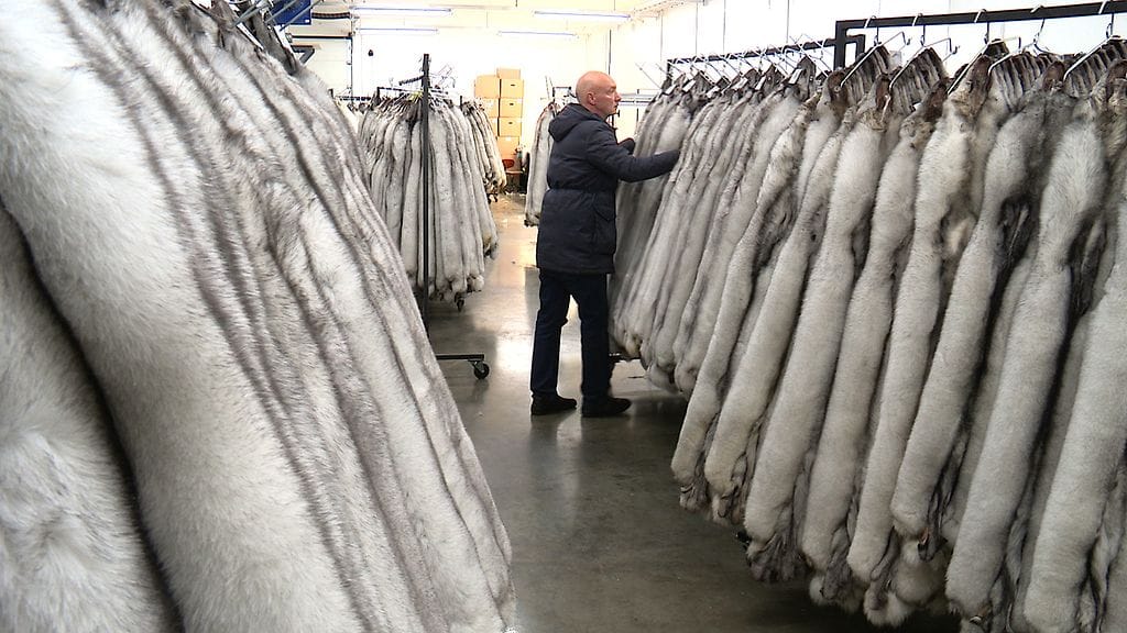 Turkistarhaus Airola 2