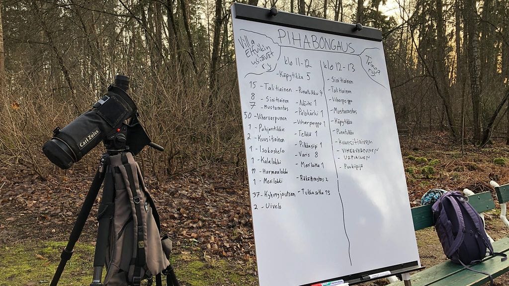 Pihabongaus, lintuhavainnot