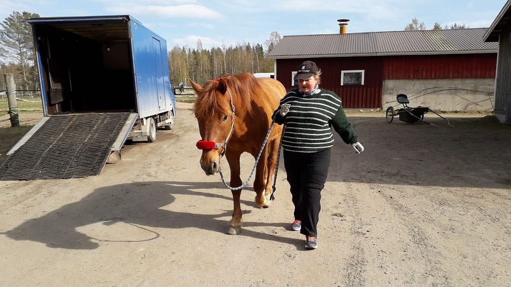 helilyytikainen1