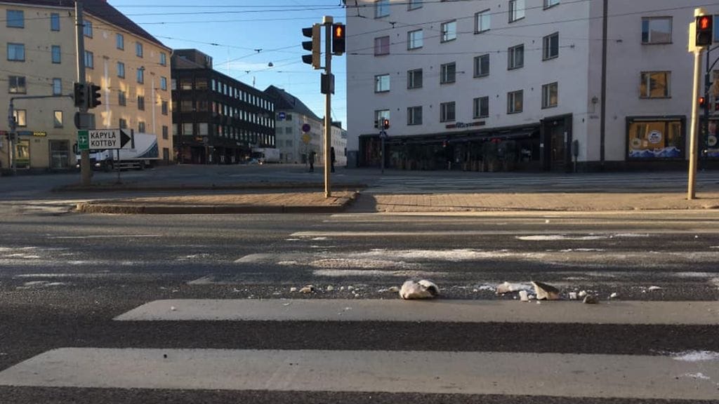 Lunta havaittu Helsingissä, ilmoittaa  Helsingin kaupunkiympäristö Facebook-sivuillaan.