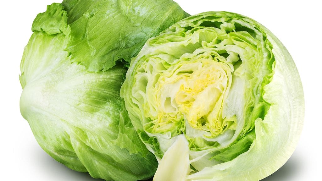 Salaatinlehdet kelpaavat yllättäviinkin käyttötarkoituksiin.