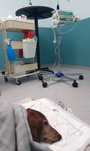 KERTAJULKAISU: masse1