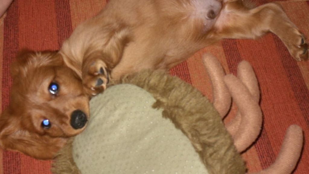 KERTAJULKAISU: masse3