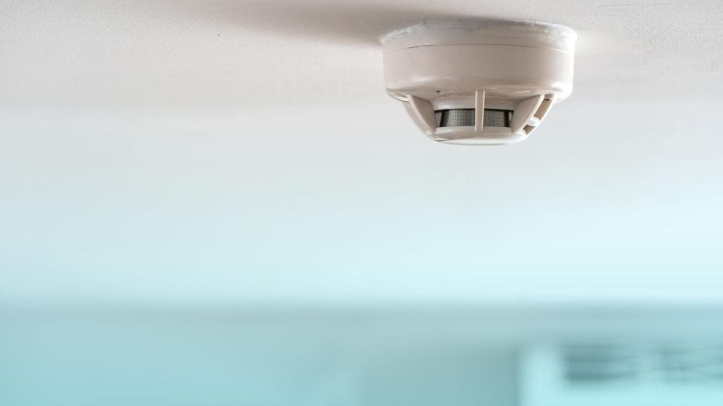 Minneapolisissa vuokralla asuva Evin Schulz alkoi ihmetellä, miksi asunnon seinää pitkin valui tummaa nestemäistä ainetta.