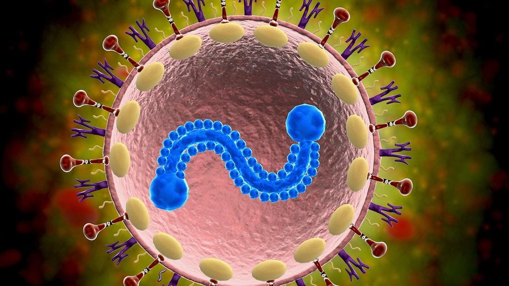 Etenkin imeväisille ja iäkkäille vaarallinen hengitystieinfektioita aiheuttava rs-virus leviää asiantuntijoiden nyt mukaan voimakkaasti.