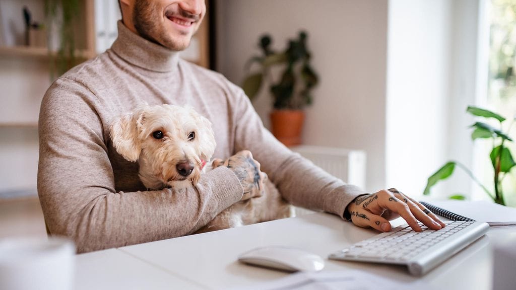 shutterstock_1627547533