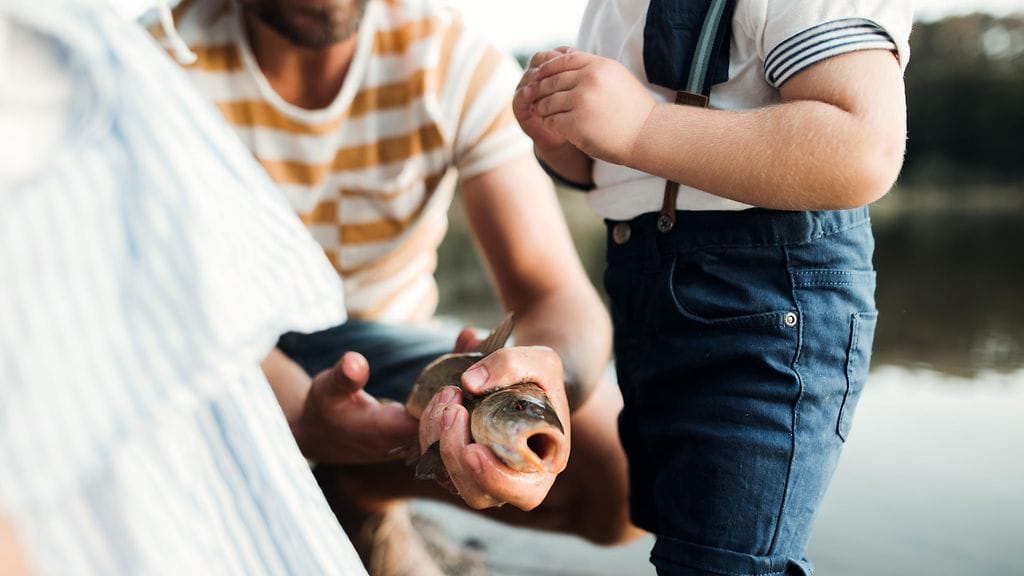 shutterstock_1335721868