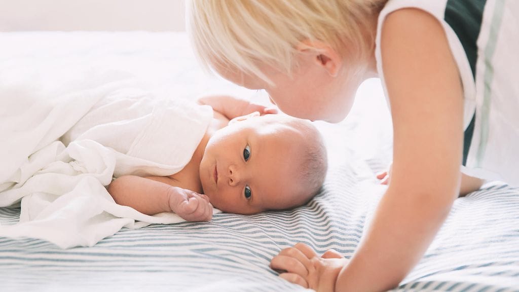 shutterstock_715764856