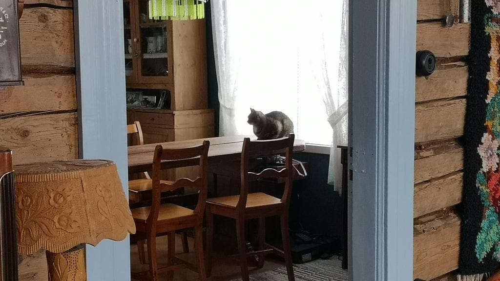 86822039_652457645511293_650829309329539072_n