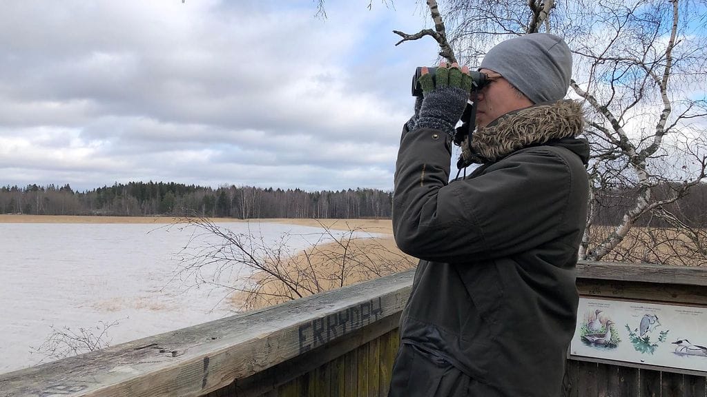 Tero Toivanen, BirdLife