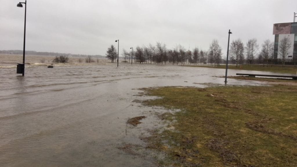 arabianranta merivesi nousee 1