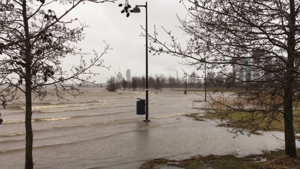 arabianranta merivesi nousee 5