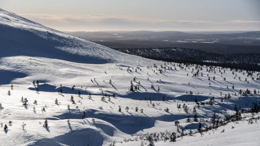 pallas tunturi muonio