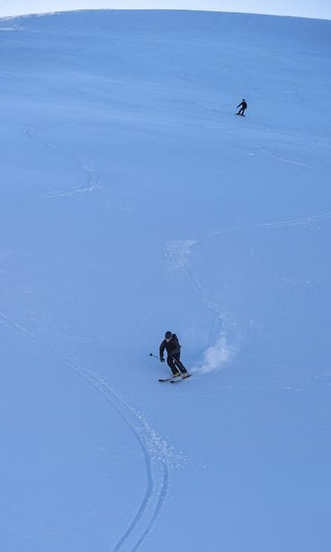 Pallas tunturi muonio paratiisikuru orotuskero