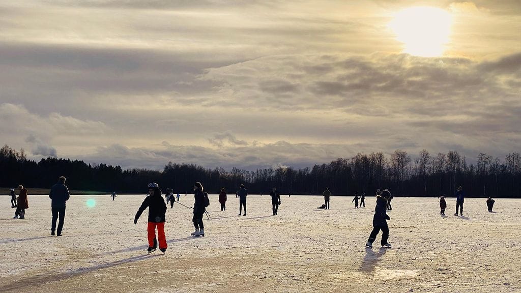 pellosta luistinrata