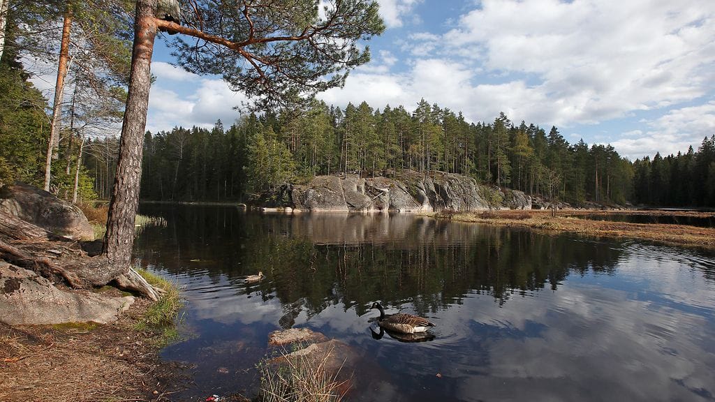 Nuuksion kansallispuisto Espoossa. Arkistokuva.