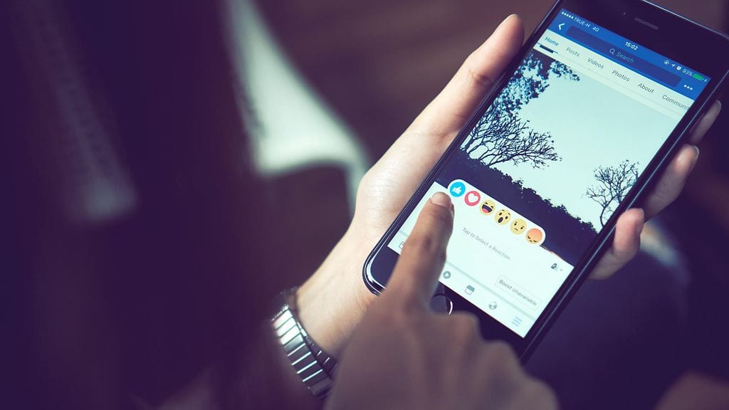 shutterstock_688060576