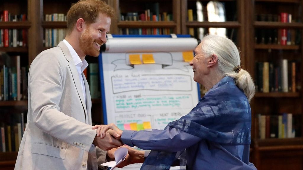 Prinssi Harry Jane Goodall