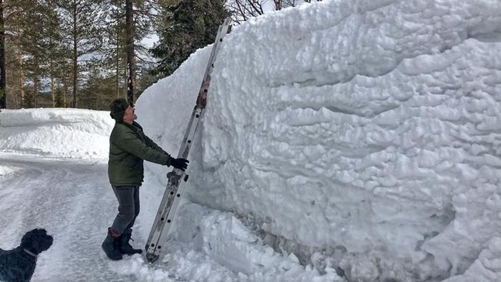 syotekylahanget-tarja-tihinen