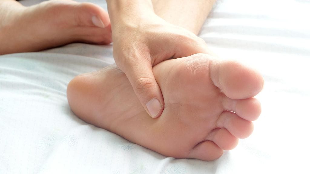 shutterstock_691906603