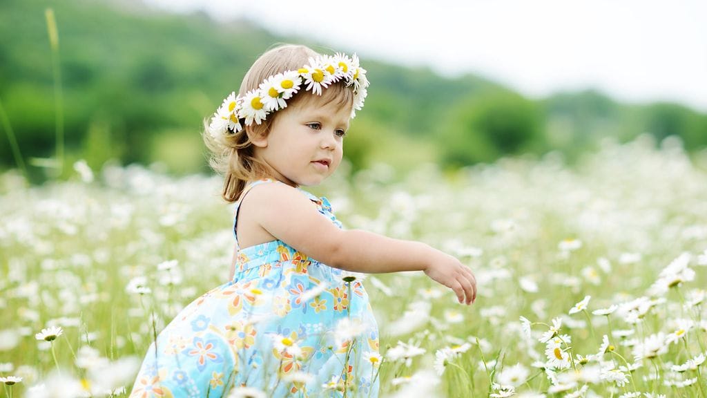 kukkaketo, lapsi, kukkaistyttö, seppele