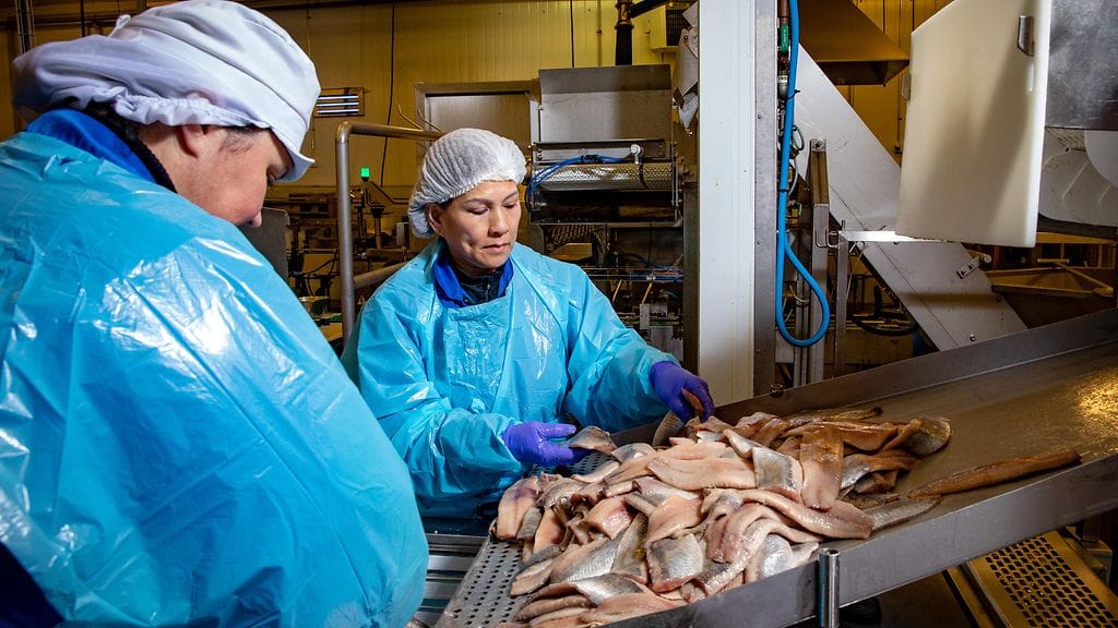 23ba8ebf-5c05-4066-8bf5-8fa3bb2e9329