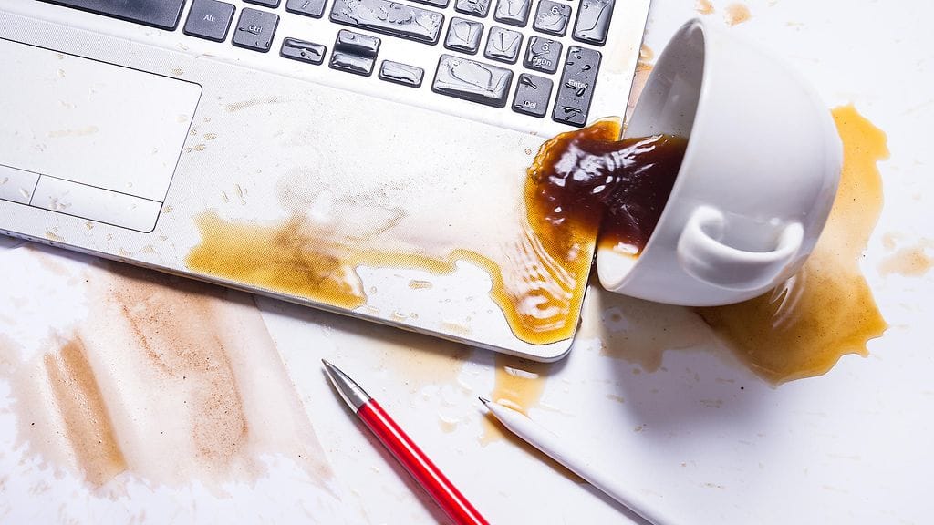 shutterstock_1252729444