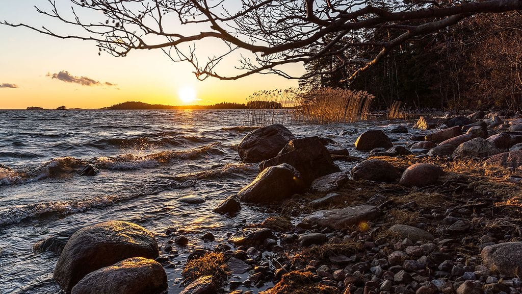 Vuosi saarella -projekti