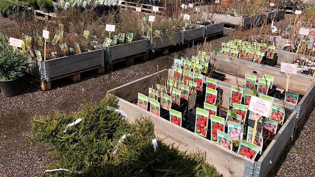 Puutarhamyymälä, Vihervimma Oy, Vantaa