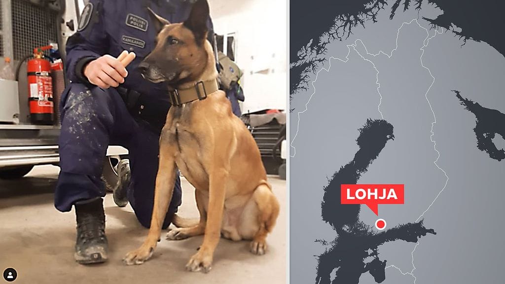 Koira pelasti Lohjalla