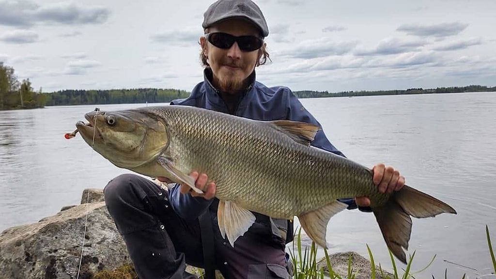 Saku Molanderin toutain painoi 5,57 kiloa. – Siitä ei ole ruokakalaksi, joten päästin sen menemään.
