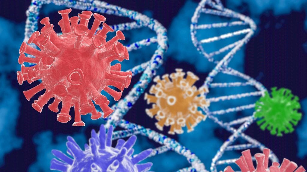 shutterstock_1723661650