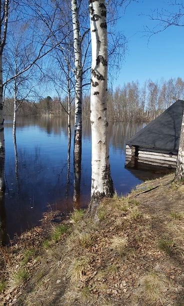 Kolpeneenpuiston laavulle ei enää pääse kuivin jaloin.