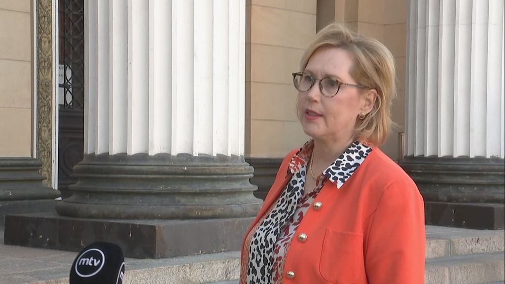 Oma-Tuula-Haatainen-Saatytalo