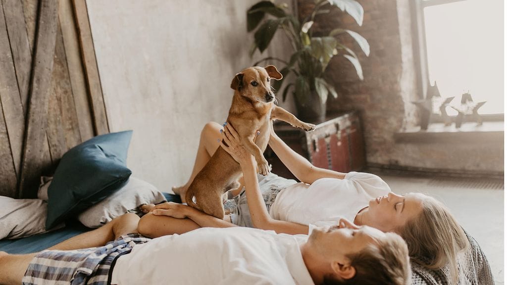 shutterstock_1311323075